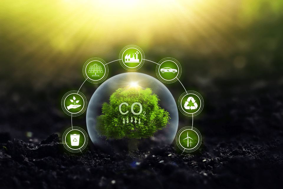 ontwerp zonder titel (5)